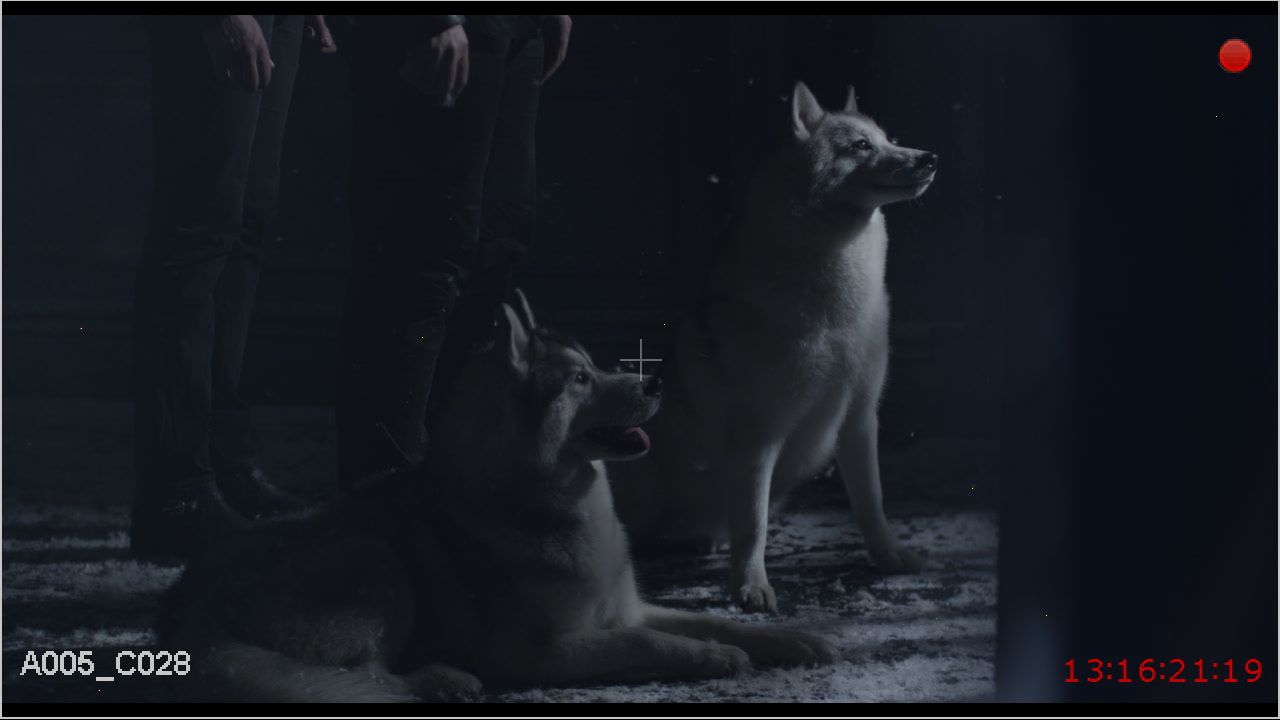 ANTIGO - ФОТОГАЛЕРЕЯ - Give me tomorrow screen